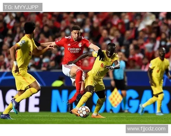 欧冠激战利物浦大胜本菲卡五球狂潮战术解析引发全场狂欢